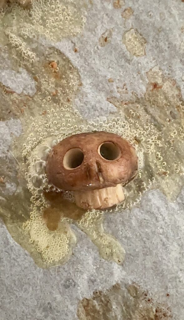 Roasted Halloween Mushroom skull garnish for risotto or pizza or pasta
