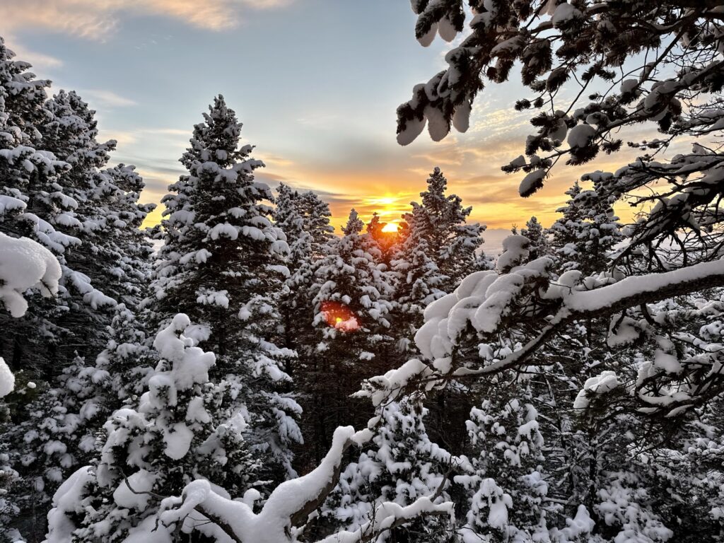 A beautiful vibrant mountain sunset viewed through snow covered tree branches during a winter hike outside of Bozeman Montana, with distant mountain peaks visible in the background. 