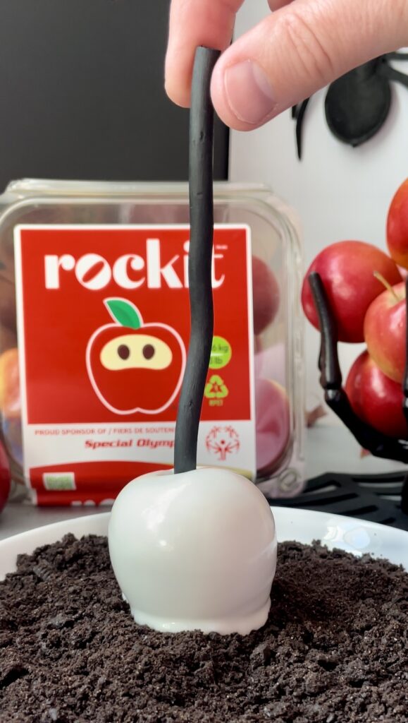 Dipping wet chocolate apples into cookie crumb soil for a spooky effect. A miniature white chocolate-covered Rockit apple on a black stick being dipped into a plate of crushed chocolate cookie crumbs.